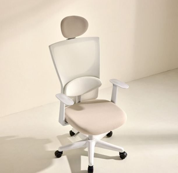 무난함의 힘, 체어스코 사무·컴퓨터 의자가 선택되는 방식