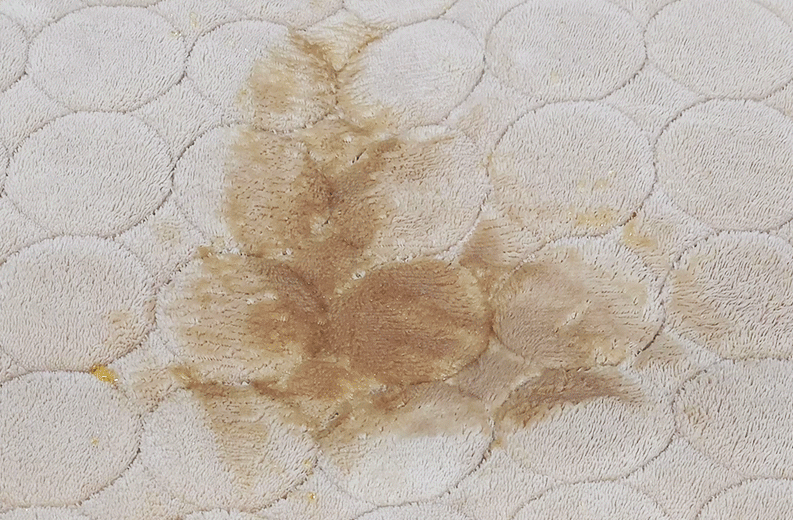 디클 습식청소기 작동 모습