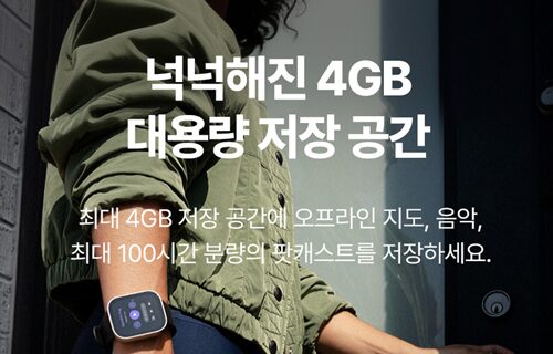 어메이즈핏 빕맥스